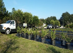 Landscaping Lakeland FL